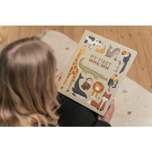 Little Dutch képeskönyv - my first animal book