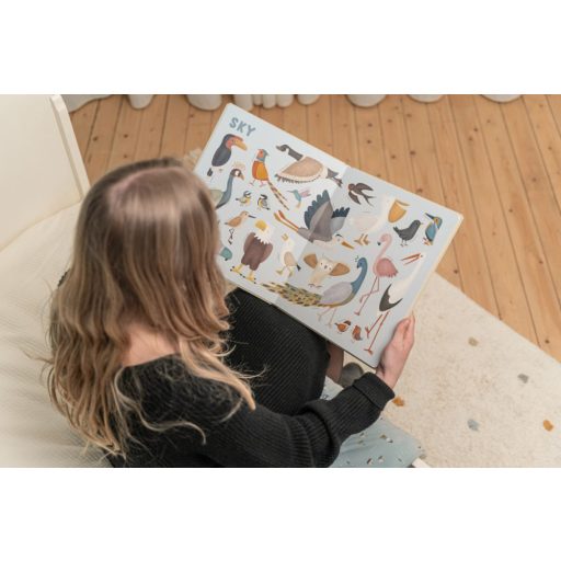 Little Dutch képeskönyv - my first animal book