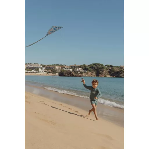 Little Dutch szélsárkány - Ocean World