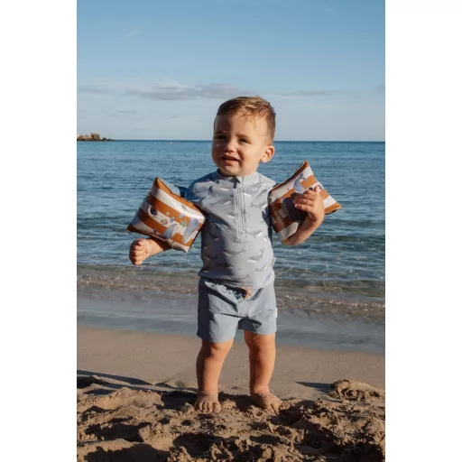 Little Dutch karúszó - Ocean World