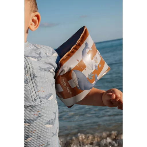 Little Dutch karúszó - Ocean World