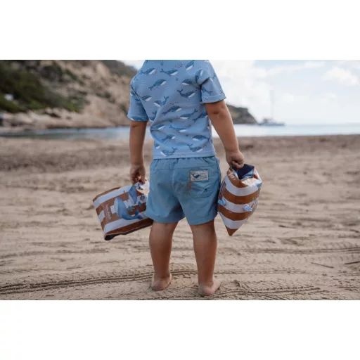 Little Dutch karúszó - Ocean World