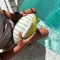 Sunnylife neoprén felfújható rögbi labda - Tides Out Citrus